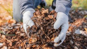 Organic Fertilizer: पत्तियों के कचरे से बनेगा उपजाऊ गार्डन कंपोस्ट, 100 कंपोस्टर लगे