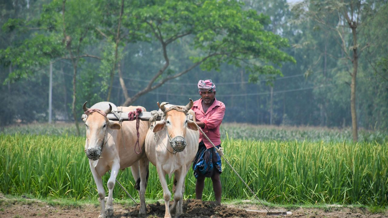 प्राकृतिक खेती को मिलेगा बड़ा सहारा, रीवा मॉडल बनेगा देशभर के किसानों के लिए नई राह