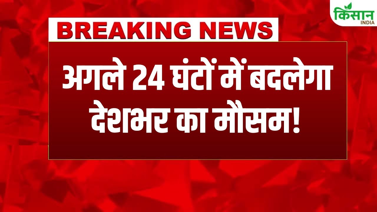 Weather Update: दिल्ली-NCR में छाए बादल, पंजाब में घना कोहरा, तापमान गिरने और विजिबिलिटी घटने का अलर्ट