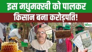 Beekeeping Guide: 8वीं क्लास से शुरू किया मधुमक्खी पालन, आज कमा रहे हैं करोड़ों का मुनाफा