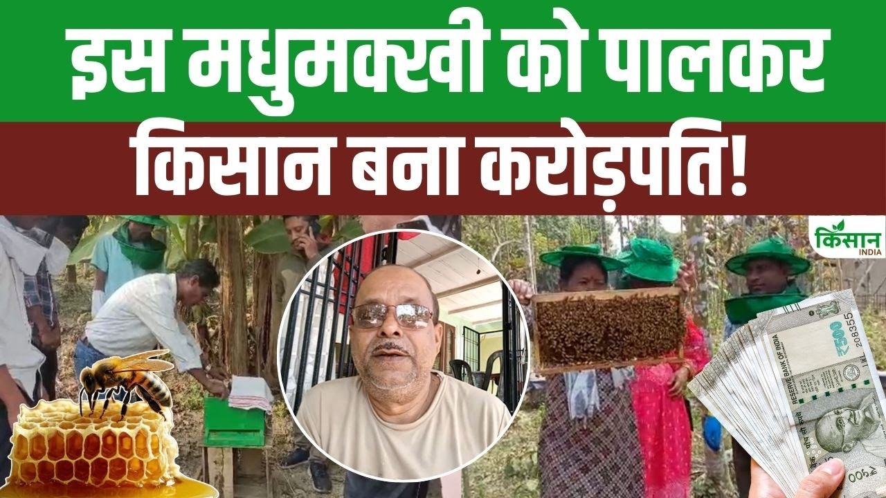 Beekeeping Guide: 8वीं क्लास से शुरू किया मधुमक्खी पालन, आज कमा रहे हैं करोड़ों का मुनाफा