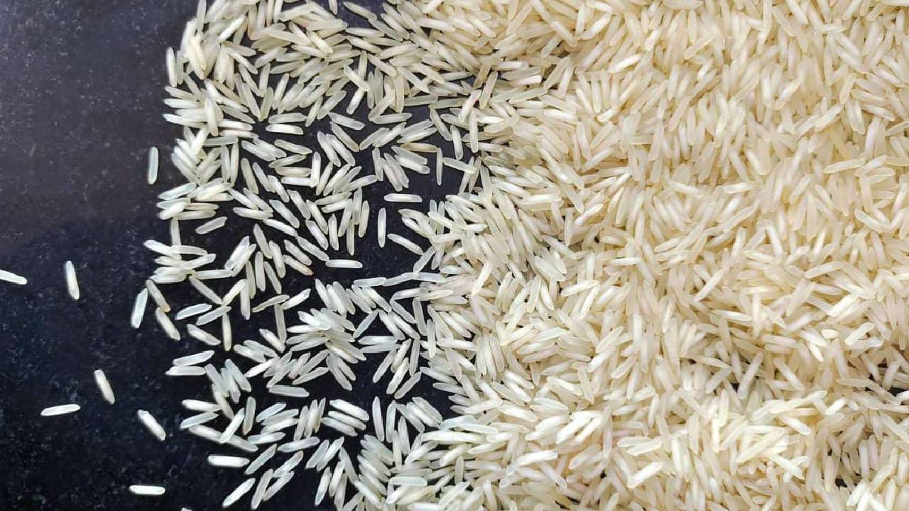 बासमती चावल किसानों को बड़ा तोहफा, CM ने ‘सेंटर ऑफ एक्सीलेंस’ खोलने का किया ऐलान