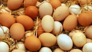 Egg Price Hike: देशभर में अंडा हुआ महंगा, कीमत 6.40 रुपये के पार, पुराना रिकॉर्ड टूटा Egg Price Hike: देशभर में अंडा हुआ महंगा, कीमत 6.40 रुपये के पार, पुराना रिकॉर्ड टूटा