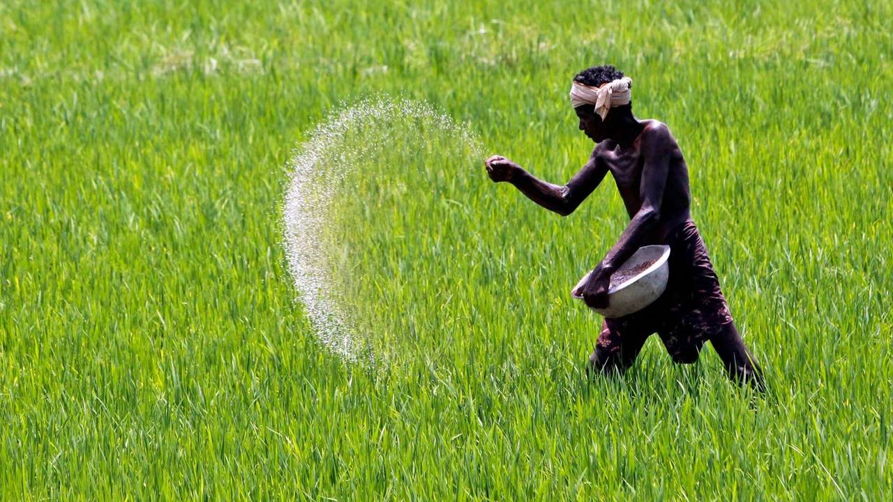 Kisan Diwas: केंद्र की इन 10 योजनाओं से किसानों की बदल जाएगी किस्मत, पैसा से लेकर फसल सुरक्षा तक की गांरटी