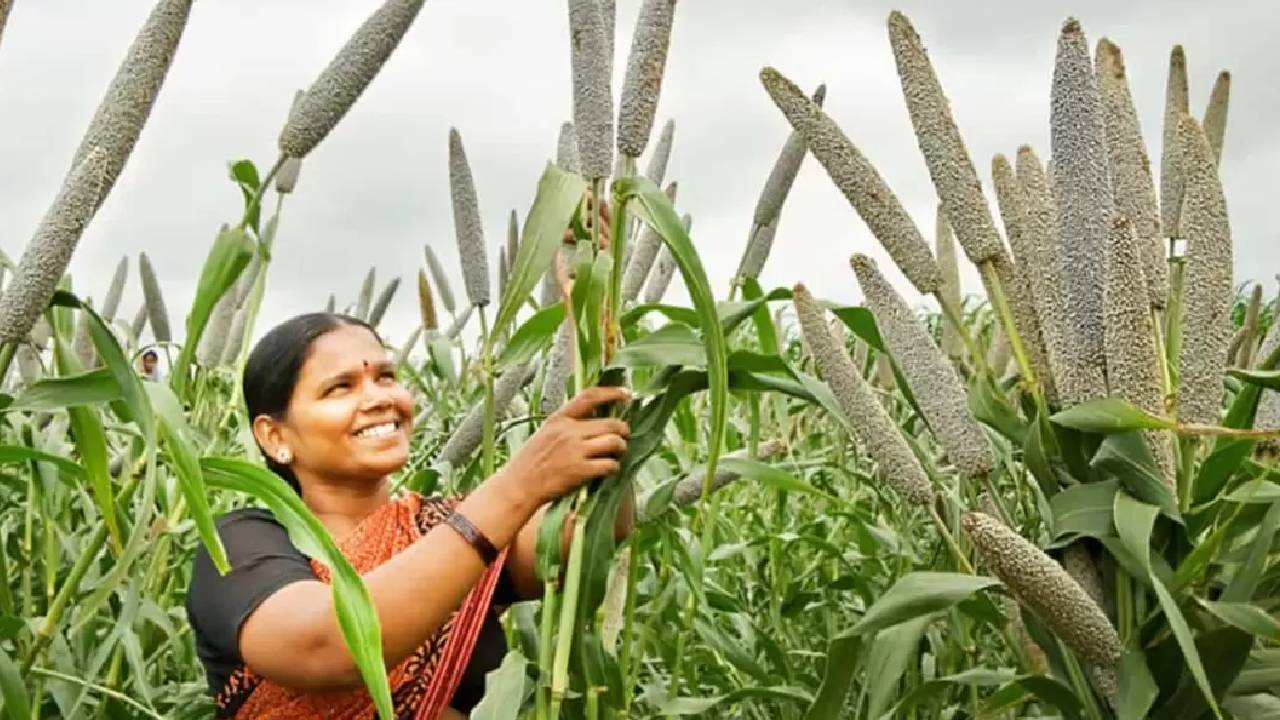 बुंदेलखंड के 6 जिलों को बड़ी सौगात, नए साल में शुरू होंगे मिलेट्स प्रोसेसिंग-पैकेजिंग प्लांट