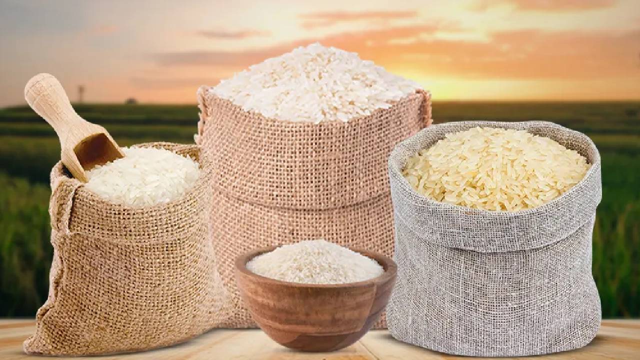 दुनिया के चावल बाजार पर किसका राज? जानें भारत, चीन और बाकी देशों का हाल
