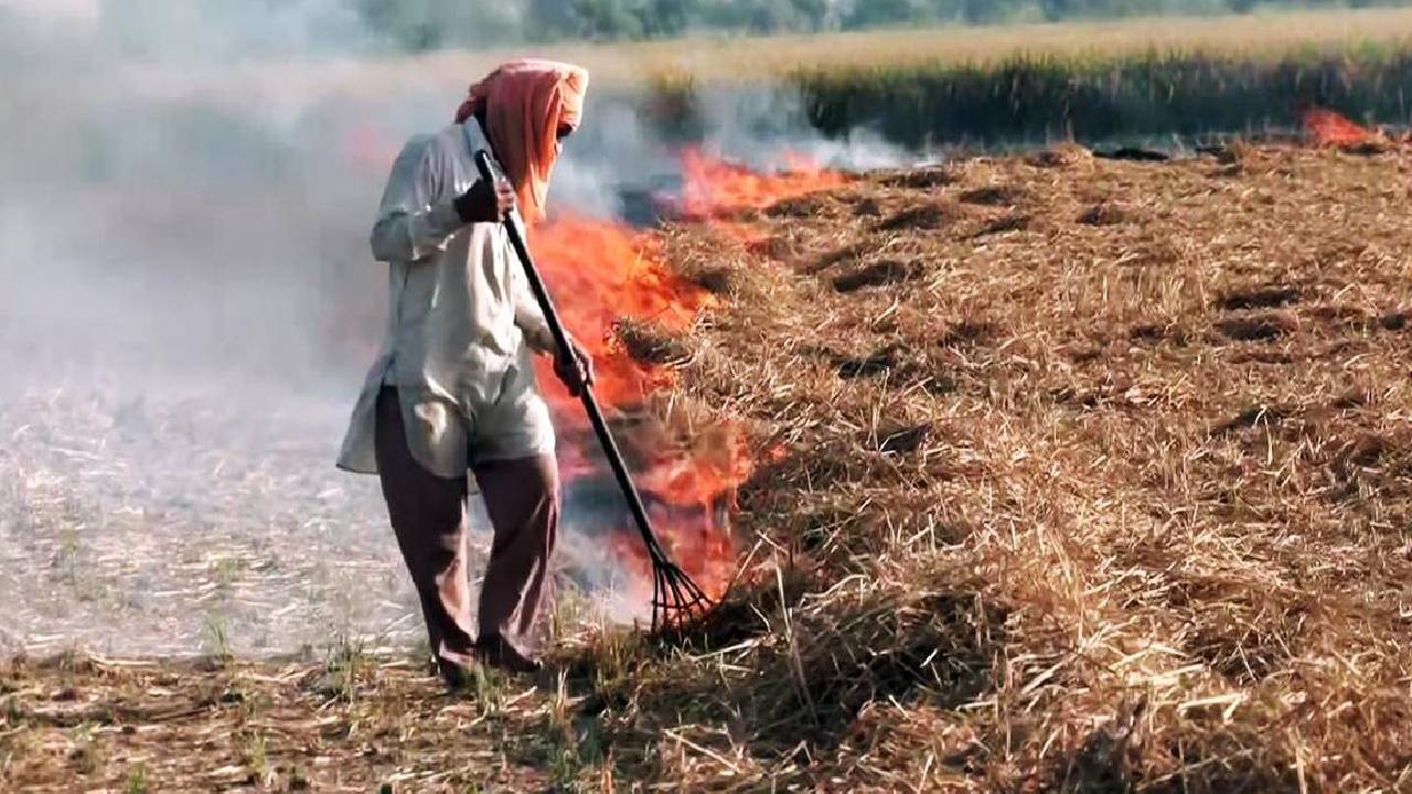 गेहूं की पराली पर अब सख्ती, 2026 की कटाई से पहले CAQM ने पंजाब-हरियाणा-यूपी को दिए कड़े निर्देश