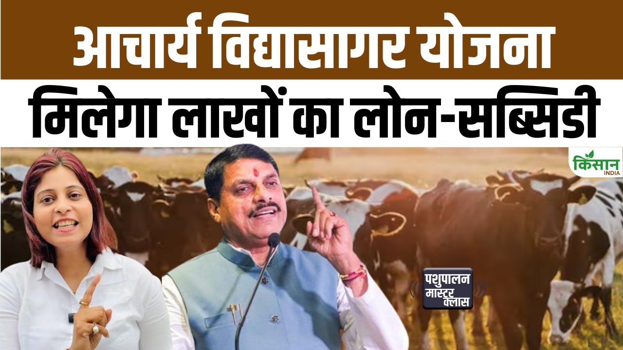 पशुपालन से लखपति बनने का मौका, सरकार दे रही लाखों का लोन और सब्सिडी