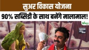 Pig Farming Scheme में किसानों को 90 फीसदी सब्सिडी, सुअर पालन से हर माह लाखों कमाई का मौका Pig Farming Scheme में किसानों को 90 फीसदी सब्सिडी, सुअर पालन से हर माह लाखों कमाई का मौका