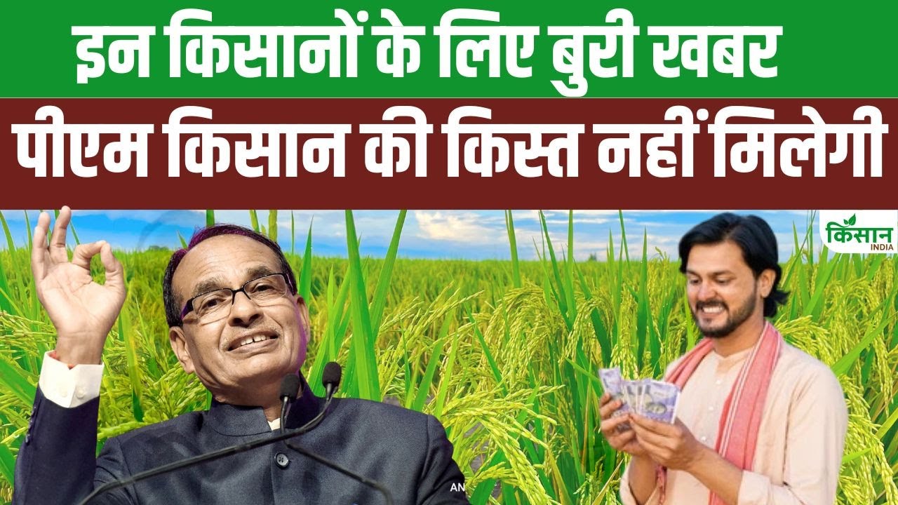 पीएम किसान योजना पर बड़ा अपडेट.. इन गलतियों के कारण अटक सकती है आपकी अगली किस्त, तुरंत सुधारें अपना स्टेटस