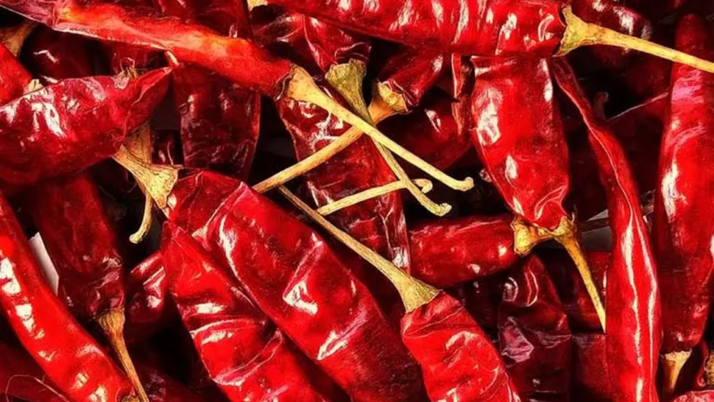 Guntur chilli (आंध्र प्रदेश): गुंटूर मिर्च तेज खुशबू वाली और मीडियम-हॉट स्वाद वाली मिर्च है. यह आंध्र प्रदेश के करी, अचार और चटनी का मुख्य हिस्सा है. बड़े पैमाने पर एक्सपोर्ट होने वाली यह मिर्च आंध्र के तीखे खाने के शौकीनों की पसंद है. Guntur chilli (आंध्र प्रदेश): गुंटूर मिर्च तेज खुशबू वाली और मीडियम-हॉट स्वाद वाली मिर्च है. यह आंध्र प्रदेश के करी, अचार और चटनी का मुख्य हिस्सा है. बड़े पैमाने पर एक्सपोर्ट होने वाली यह मिर्च आंध्र के तीखे खाने के शौकीनों की पसंद है.