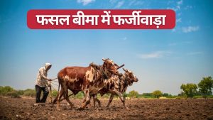 फसल बीमा फर्जीवाड़ा: मथुरा के 29 किसानों से वसूले जाएंगे 66 करोड़ रुपये, रिकवरी नोटिस जारी