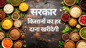 दलहन-तिलहन किसानों की भरेगी झोली.. दाना दाना खरीदेगी सरकार, MSP भुगतान पर केंद्र से मंजूरी दलहन-तिलहन किसानों की भरेगी झोली.. दाना दाना खरीदेगी सरकार, MSP भुगतान पर केंद्र से मंजूरी