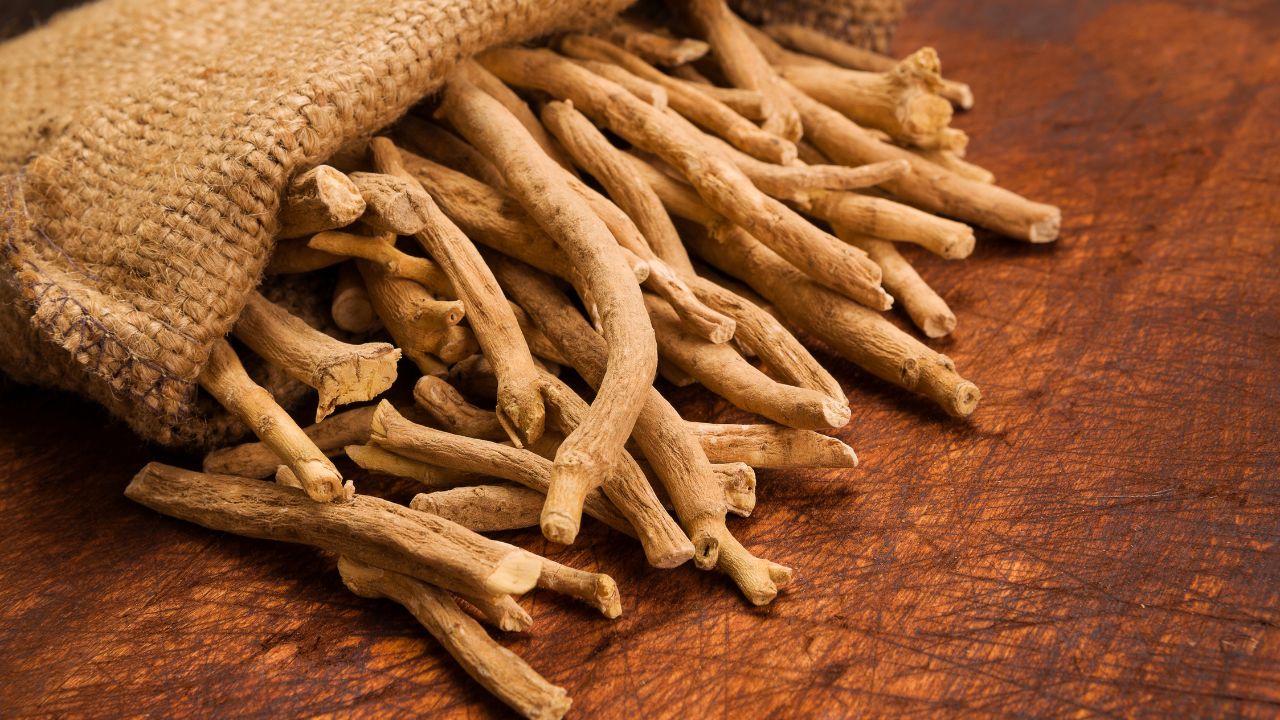 Ashwagandha: खेतों में उगेगा आयुर्वेद का सोना.. GI टैग मिलते ही नागौरी अश्वगंधा की बढ़ी चमक