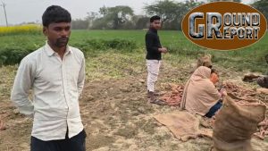 किसानों को नहीं मिल रहा गाजर का भाव, 4 रुपये में खरीदकर 20 रुपये में बेच रहे व्यापारी.. युवा किसान की जुबानी किसानों को नहीं मिल रहा गाजर का भाव, 4 रुपये में खरीदकर 20 रुपये में बेच रहे व्यापारी.. युवा किसान की जुबानी