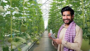 Hydroponics Farming: छत पर बिना मिट्टी के उगाएं सब्जियां, कमाएं हर महीने ₹30,000 से ज्यादा – जानें कैसे!