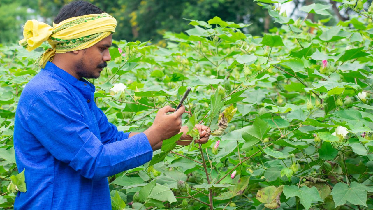 5 हजार एकड़ में स्मार्ट एग्रीकल्चर जोन बनेगा, जैविक उत्पादों को सर्टिफाई करने के लिए लैब खुलेगी 