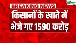 CM Kisan Samman Nidhi : सीएम किसान सम्मान निधि की 5वीं किस्त जारी, हजारों किसानों को मिली आर्थिक मदद CM Kisan Samman Nidhi : सीएम किसान सम्मान निधि की 5वीं किस्त जारी, हजारों किसानों को मिली आर्थिक मदद