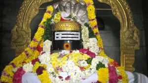 Maha Shivratri 2026: महाशिवरात्रि पर इस समय करें पूजा, खुलेंगे भाग्य के द्वार! जानें पूजा मुहूर्त और विधि