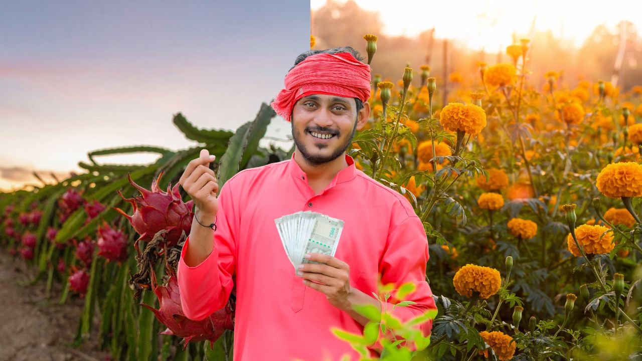 UP News: किसानों की बल्ले-बल्ले! ड्रैगन फ्रूट पर ₹1.62 लाख की सब्सिडी, गेंदा पर 40 प्रतिशत अनुदान, ऐसे करें आवेदन
