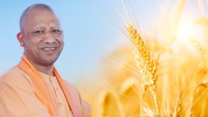 यूपी में गेहूं खरीद शुरू.. पहले दिन मंडियों में उपज लेकर पहुंचे किसान, 160 रुपये बढ़ाकर मिल रहा गेहूं का भाव