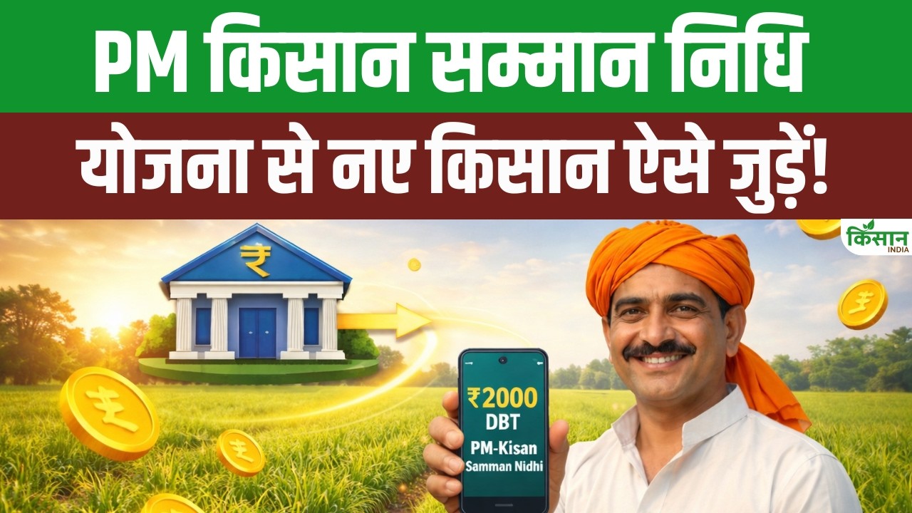 पीएम किसान योजना 2026 में क्या बदला? पात्रता रजिस्ट्रेशन और जरूरी दस्तावेज की पूरी जानकारी यहां पढ़ें