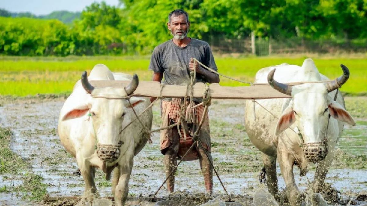 जलवायु परिवर्तन से खेती पर खतरा, 651 जिलों के अध्ययन में सामने आई बड़ी बात… सरकार ने तैयार की नई योजना