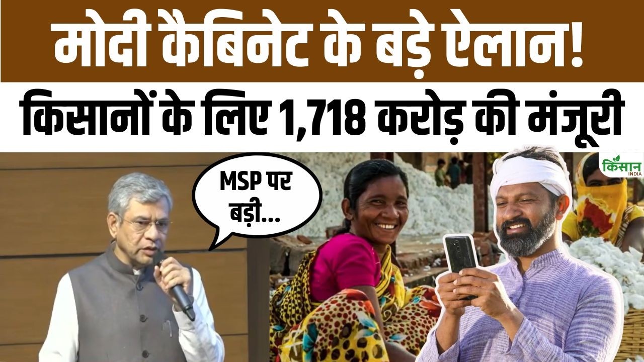 कैबिनेट का बड़ा फैसला..कपास किसानों को राहत, MSP पर 1718 करोड़ मंजूर, किसानों की आय बढ़ाने पर सरकार का जोर