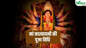 Chaitra Navratri: नवरात्रि के छठे दिन इस तरह करें मां कात्यायनी की पूजा, पूरी होगी मन की हर इच्छा! Chaitra Navratri: नवरात्रि के छठे दिन इस तरह करें मां कात्यायनी की पूजा, पूरी होगी मन की हर इच्छा!