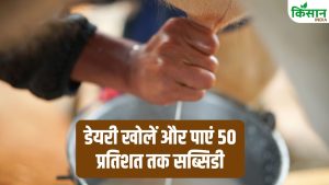 UP के किसानों के लिए बड़ी खुशखबरी! डेयरी खोलें और पाएं 50 प्रतिशत तक सब्सिडी, जानें कैसे उठाएं फायदा UP के किसानों के लिए बड़ी खुशखबरी! डेयरी खोलें और पाएं 50 प्रतिशत तक सब्सिडी, जानें कैसे उठाएं फायदा