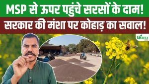 West Asia War के बीच सरसों के दाम MSP से ऊपर, किसान नेता Abhimanyu Kohar ने सरकार से पूछा बड़ा सवाल West Asia War के बीच सरसों के दाम MSP से ऊपर, किसान नेता Abhimanyu Kohar ने सरकार से पूछा बड़ा सवाल