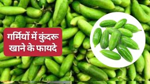 गर्मियों में बड़े काम की है कुंदरू की सब्जी, कब्ज से छुटकारा दिलाने के साथ ही कई बीमारियों की रोकथाम में मददगार गर्मियों में बड़े काम की है कुंदरू की सब्जी, कब्ज से छुटकारा दिलाने के साथ ही कई बीमारियों की रोकथाम में मददगार