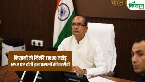 कृषि मंत्री ने दी मंजूरी, MSP पर 18 लाख टन सरसों, चना, मसूर की होगी खरीदी.. किसानों को मिलेंगे 11698 करोड़ कृषि मंत्री ने दी मंजूरी, MSP पर 18 लाख टन सरसों, चना, मसूर की होगी खरीदी.. किसानों को मिलेंगे 11698 करोड़