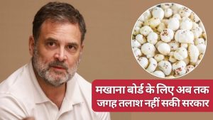मखाना बोर्ड पर राहुल गांधी के सवाल पर सरकार की खुल गई पोल, दलहन-कपास के दावों पर आंकड़ों ने बढ़ाई चिंता मखाना बोर्ड पर राहुल गांधी के सवाल पर सरकार की खुल गई पोल, दलहन-कपास के दावों पर आंकड़ों ने बढ़ाई चिंता