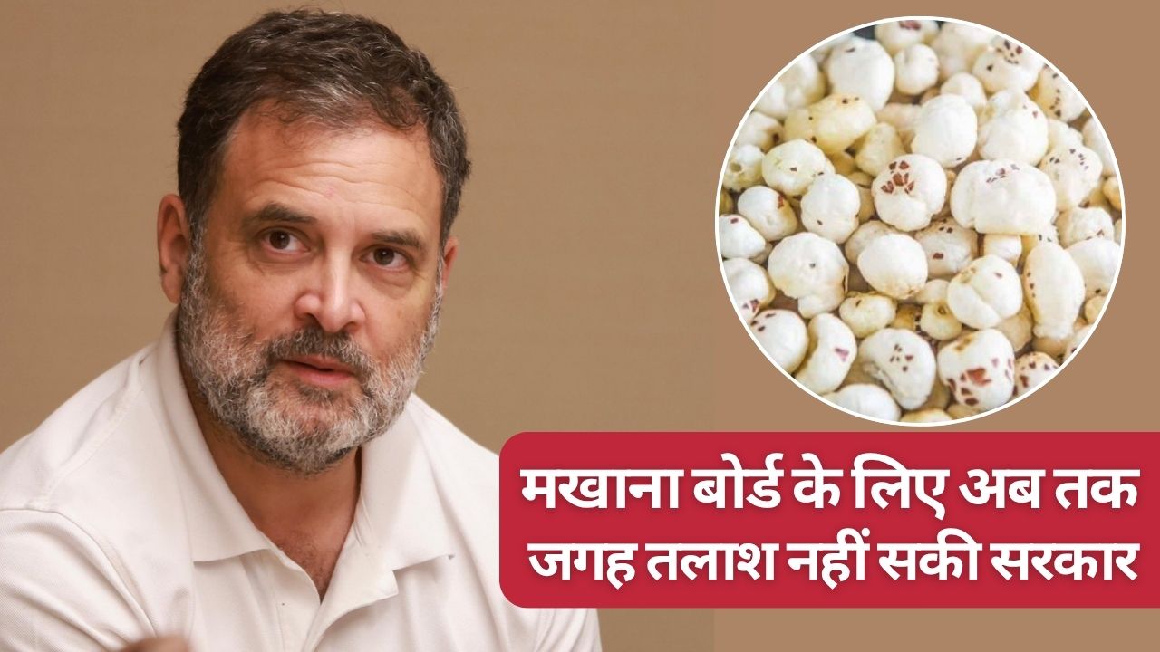 मखाना बोर्ड पर राहुल गांधी के सवाल पर सरकार की खुल गई पोल, दलहन-कपास के दावों पर आंकड़ों ने बढ़ाई चिंता