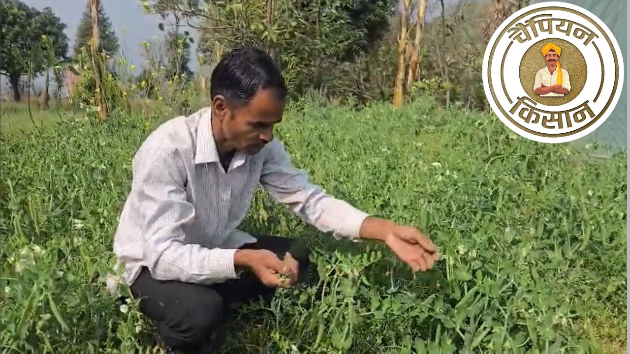 सब्जी उगाकर लाखों कमा रहे किसान दीप चंद्र पांडे, नई तकनीक अपनाकर पेश की सफल खेती की मिसाल
