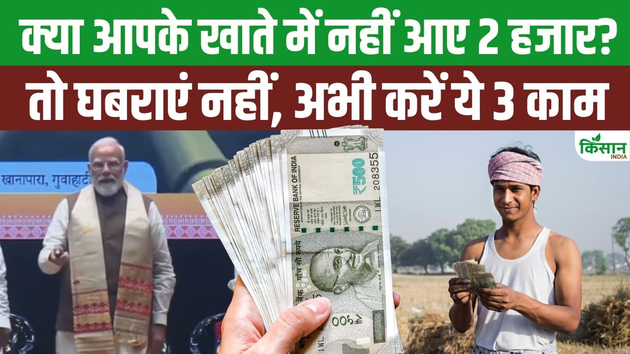 PM किसान योजना की 22वीं किस्त अटकी है? तुरंत करें ये तीन जरूरी काम, तभी खाते में आएंगे 2000 रुपये