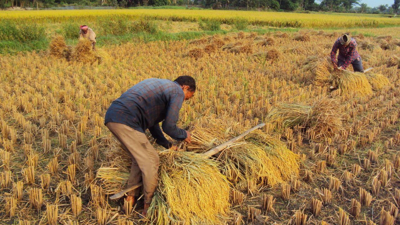 किसानों की आय बढ़ाने की बड़ी पहल, अब कोई भी बन सकता है PACS सदस्य.. गांव में मिलेंगी 300 सेवाएं