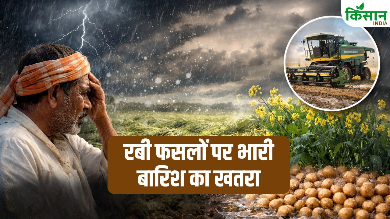 मौसम का बड़ा वार! गरज-चमक और आंधी से रबी फसल पर खतरा, IMD ने जारी किया भारी बारिश का अलर्ट