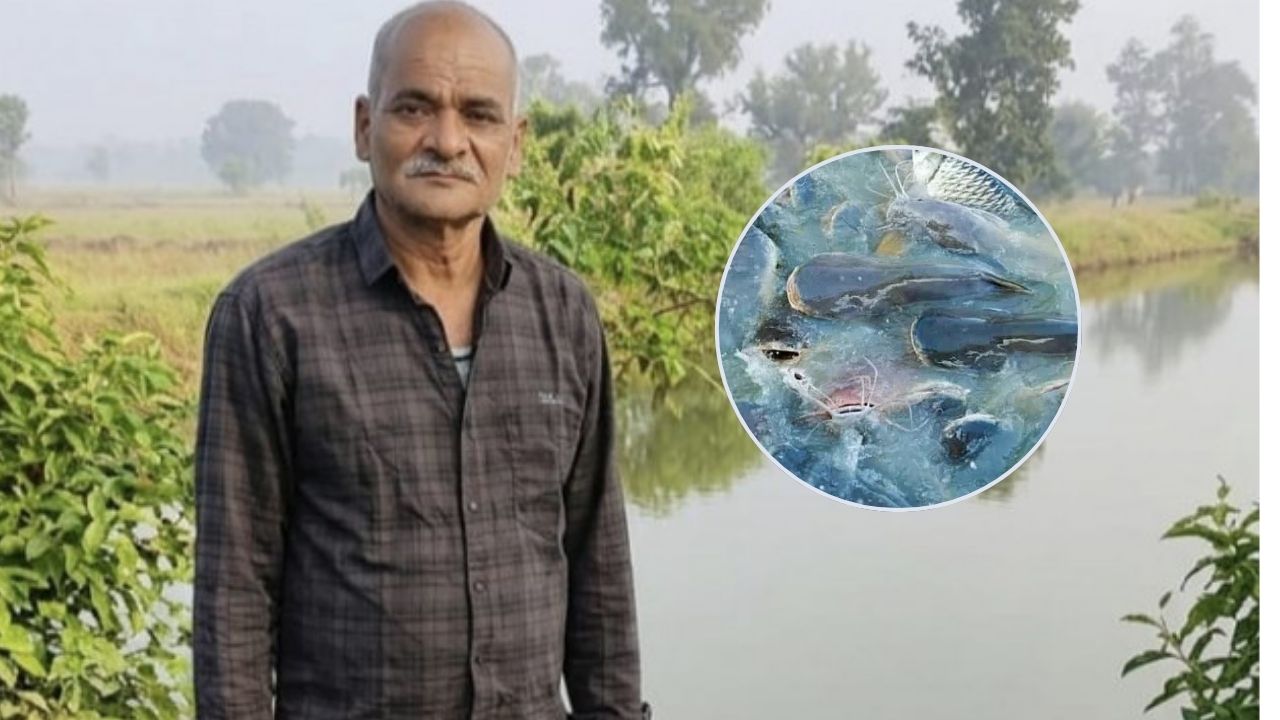 Success Story: इस योजना से 6 गुना बढ़ गई किसान की कमाई, अब मछली पालन से साल में 7 लाख की इनकम