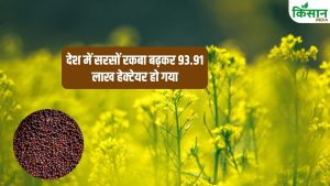 सरसों के उत्पादन में 3.64 फीसदी की बढ़ोतरी, राजस्थान पहले स्थान पर.. जानें MP, यूपी, हरियाणा का हाल सरसों के उत्पादन में 3.64 फीसदी की बढ़ोतरी, राजस्थान पहले स्थान पर.. जानें MP, यूपी, हरियाणा का हाल