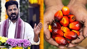 तेलंगाना में 300 करोड़ का पाम ऑयल प्लांट शुरू, अब 70 लाख किसानों को मिलेगा रायथु भरोसा योजना का लाभ तेलंगाना में 300 करोड़ का पाम ऑयल प्लांट शुरू, अब 70 लाख किसानों को मिलेगा रायथु भरोसा योजना का लाभ