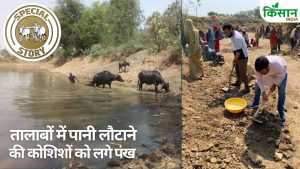 किसानों के पानी बचाने की कोशिशें रंग ला रहीं.. यूपी से लेकर छत्तीसगढ़ तक मिल रही सफलता, पीएम ने सराहा