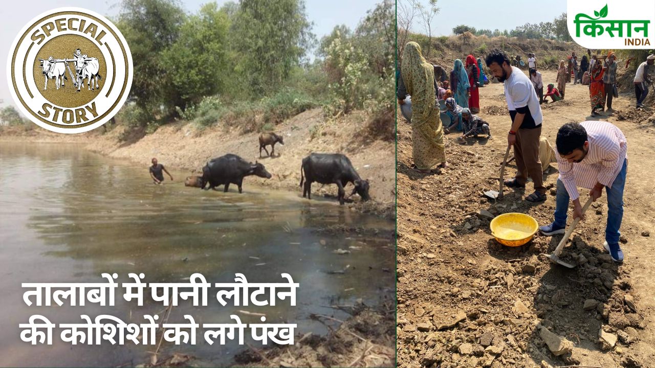 किसानों के पानी बचाने की कोशिशें रंग ला रहीं.. यूपी से लेकर छत्तीसगढ़ तक मिल रही सफलता, पीएम ने सराहा