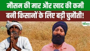 उत्तराखंड में बारिश से गेहूं की फसल चौपट, किसानों ने सरकार से तुरंत की राहत की मांग उत्तराखंड में बारिश से गेहूं की फसल चौपट, किसानों ने सरकार से तुरंत की राहत की मांग