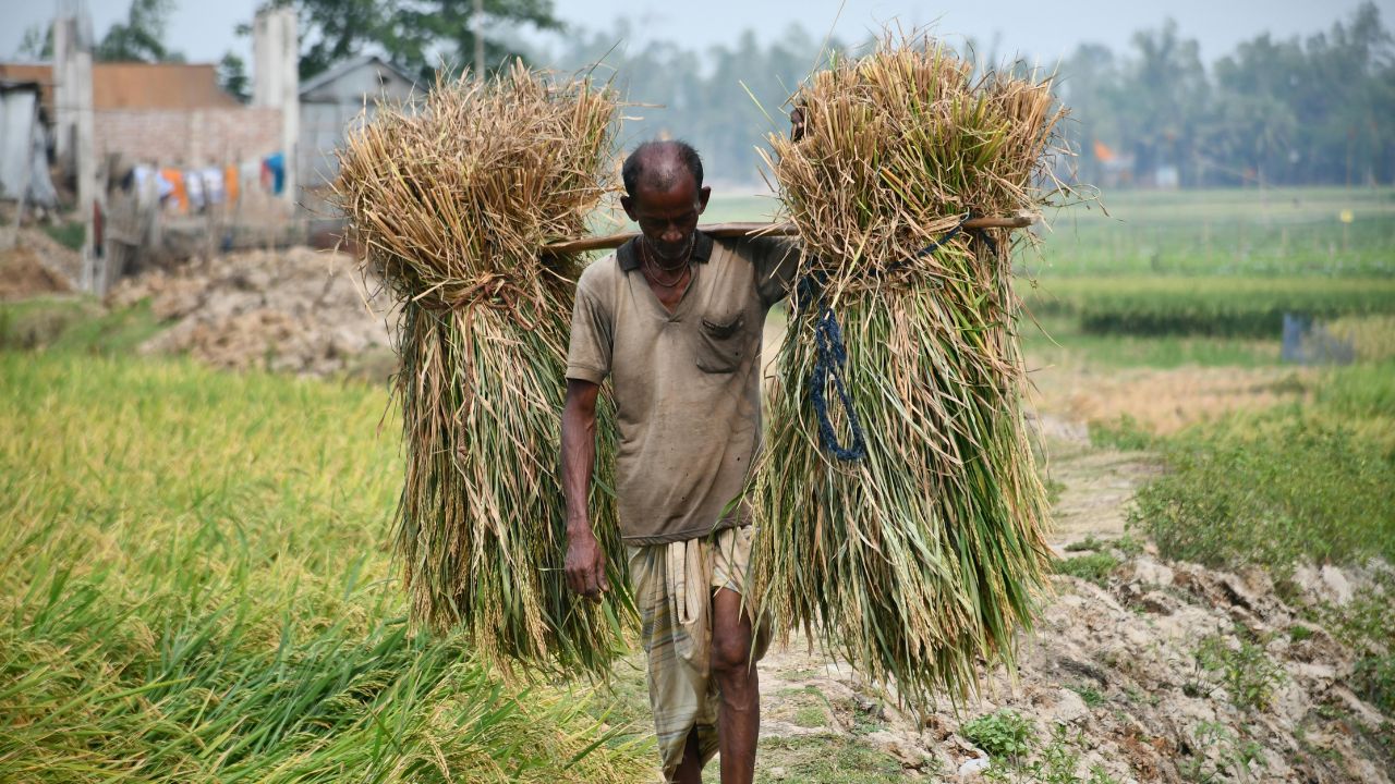 लू बन रही है जान की दुश्मन! खेत में काम कर रहे किसानों के लिए सरकार ने जारी की एडवाइजरी