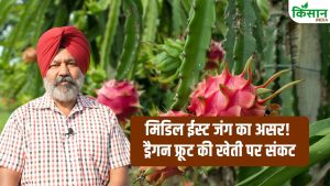 मिडिल ईस्ट जंग का असर! ड्रैगन फ्रूट और एक्सोटिक खेती पर मंडराया संकट, किसानों को भारी नुकसान का डर मिडिल ईस्ट जंग का असर! ड्रैगन फ्रूट और एक्सोटिक खेती पर मंडराया संकट, किसानों को भारी नुकसान का डर