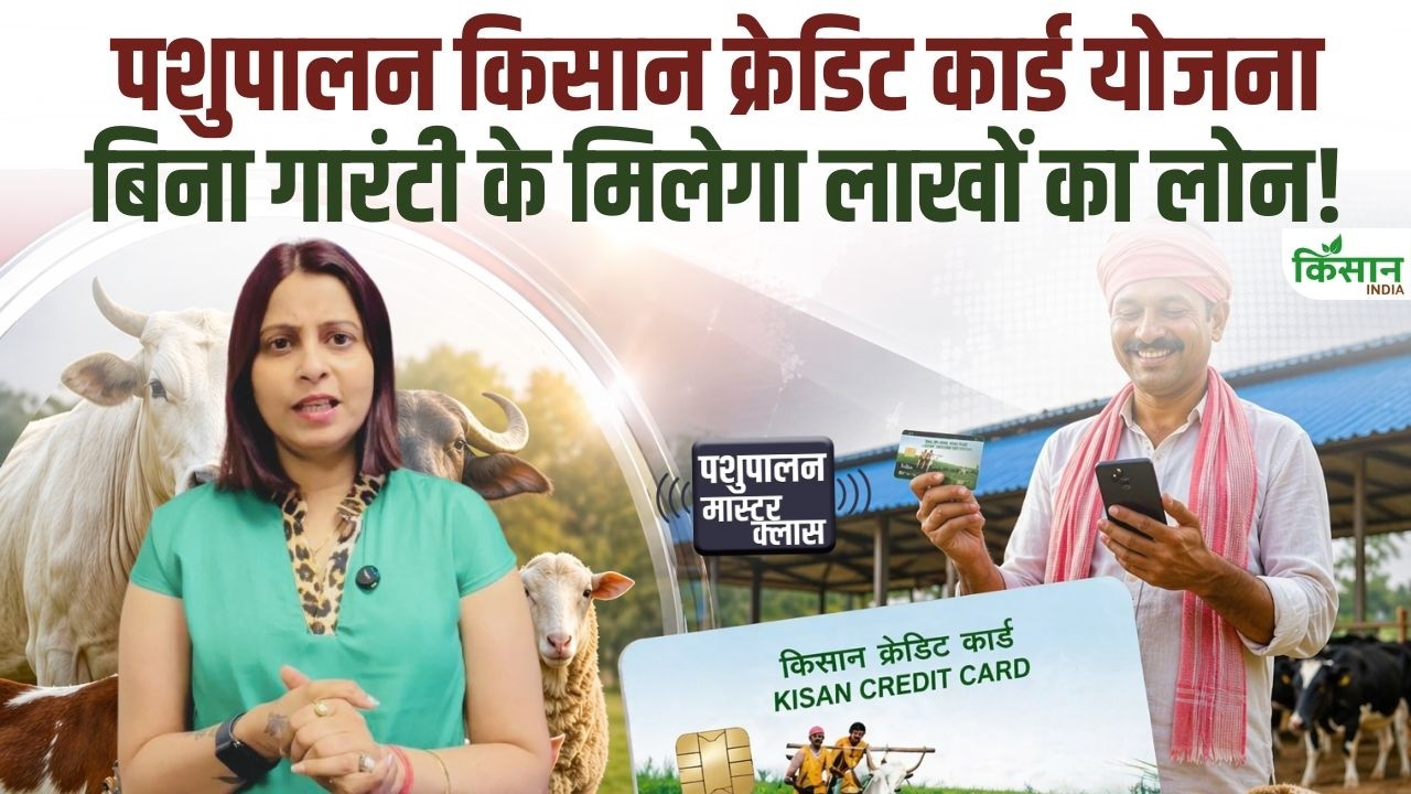 पशुपालकों के लिए खुशखबरी, क्रेडिट कार्ड योजना से मिलेगा सस्ता लोन, बिना गारंटी आसान किस्तों में भुगतान