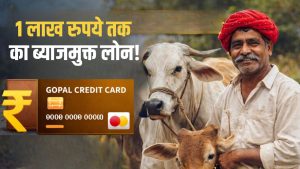 इस योजना से पशुपालकों की हो रही तगड़ी कमाई, बिना ब्याज के मिलता है 1 लाख का लोन.. ऐसे करें अप्लाई इस योजना से पशुपालकों की हो रही तगड़ी कमाई, बिना ब्याज के मिलता है 1 लाख का लोन.. ऐसे करें अप्लाई