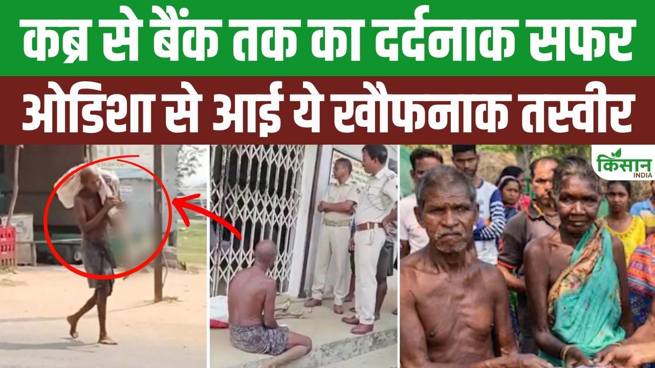 Odisha Viral Video: इंसान नहीं, सिस्टम को चाहिए सिर्फ फाइल! कब्र से Bank तक का दर्दनाक सफर!